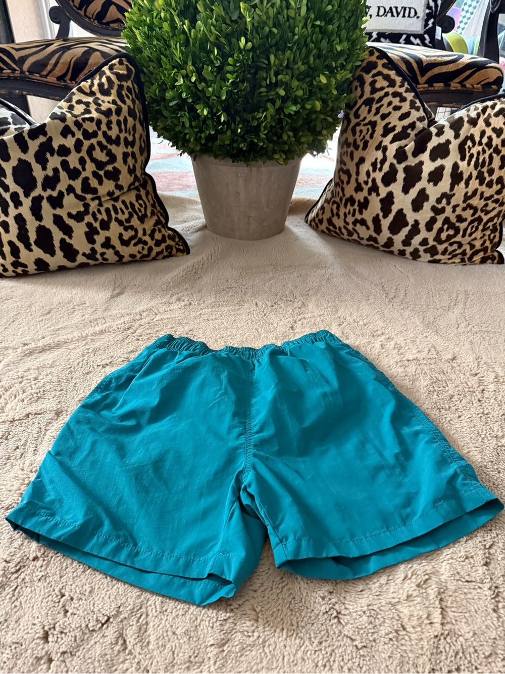 Men’s small Elastic-Waist swim trunks in Teal Like New